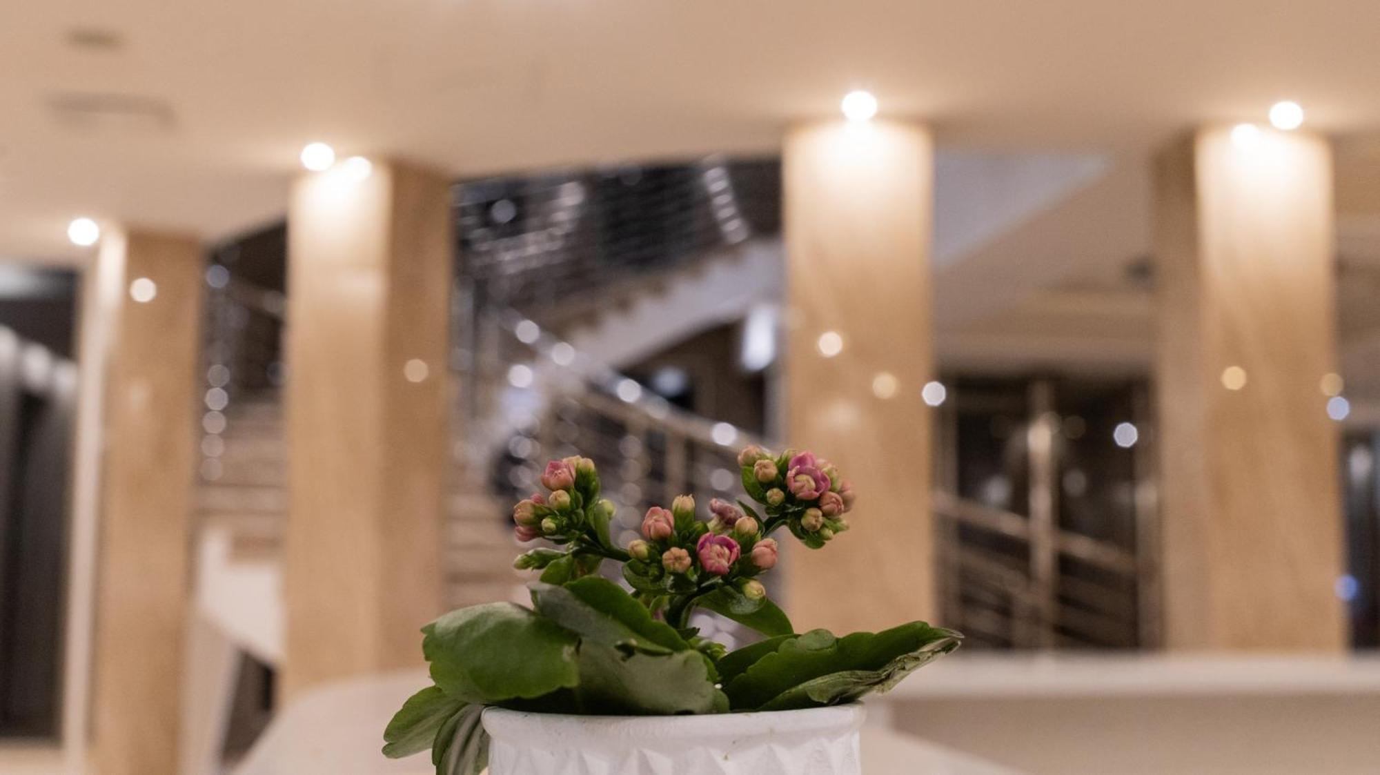 Hotel Donna Crescenza Locorotondo Bagian luar foto