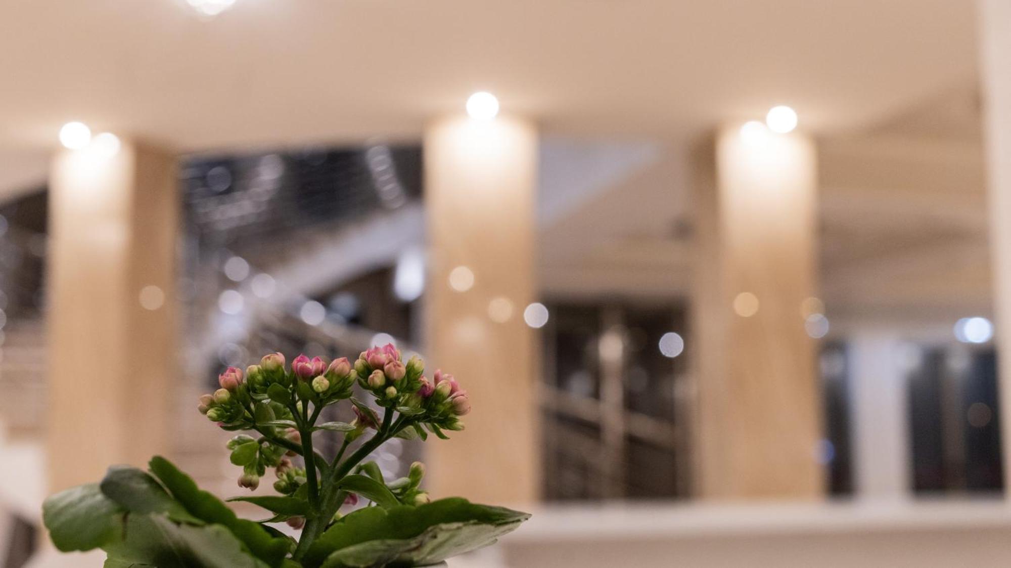Hotel Donna Crescenza Locorotondo Bagian luar foto